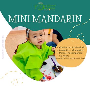 playgroup singapore|Mini Playgroups (6m to 18m) .